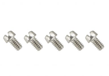 Tip Mounting Screw