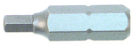 Security Hex Insert Bit 1/8" x 25mm