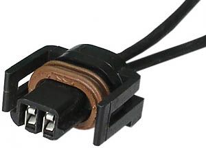 2 Wire Direct Ignition Throttle Body Injection