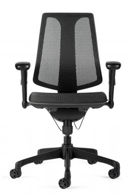 Mesh Chair, Contoured Backrest With Lumbar Support, Adjustable Arms, Black Nylon Base